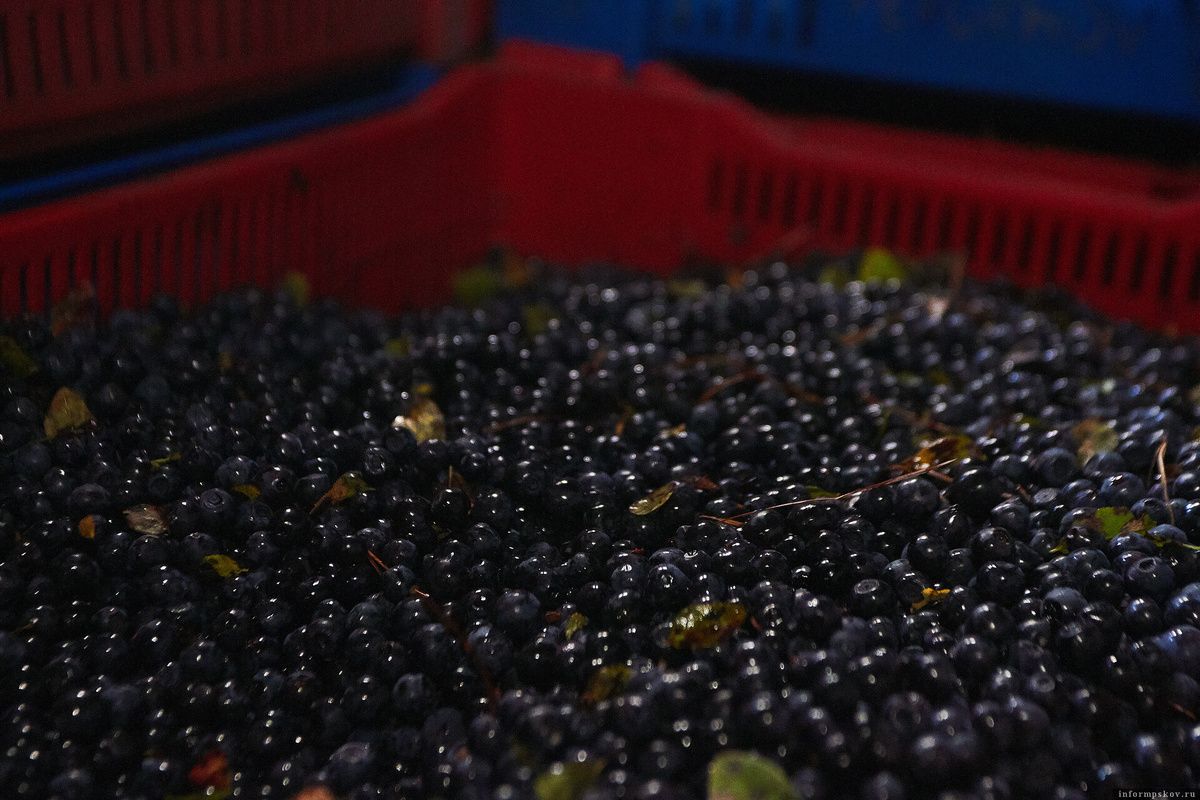 ��� ���������� �� ����� �������: ������ ��������� ��������� �������