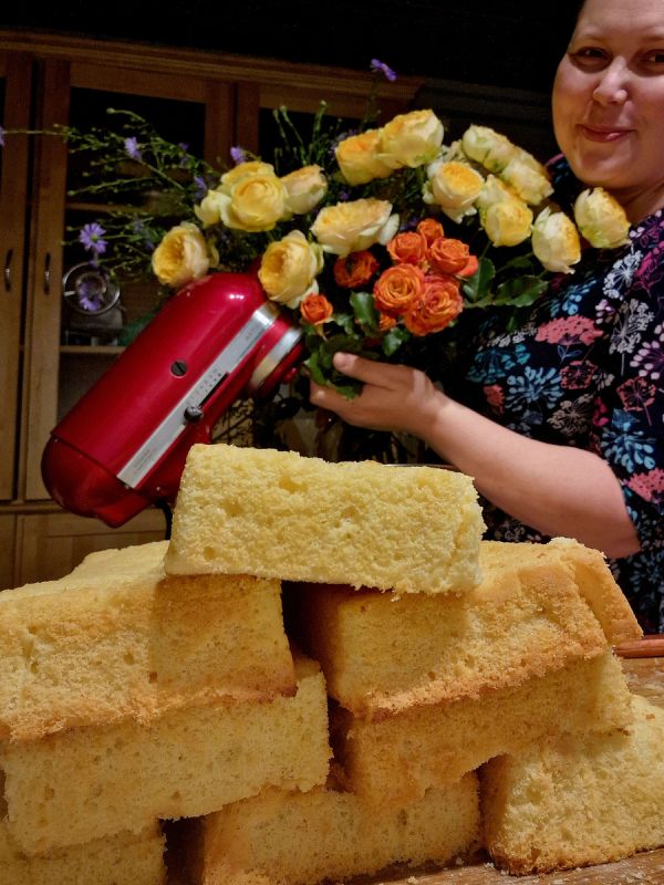 ������ � ����: ������� ��� ���������� ��������