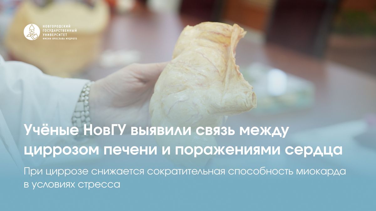 ����� ��������: ����� ������� ������ � ��������� �����������