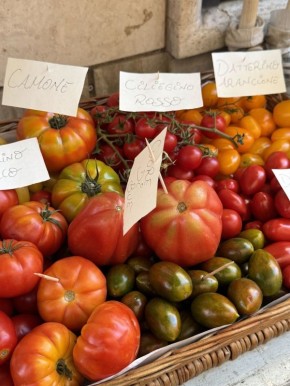 �������: ��������� ����������� �����