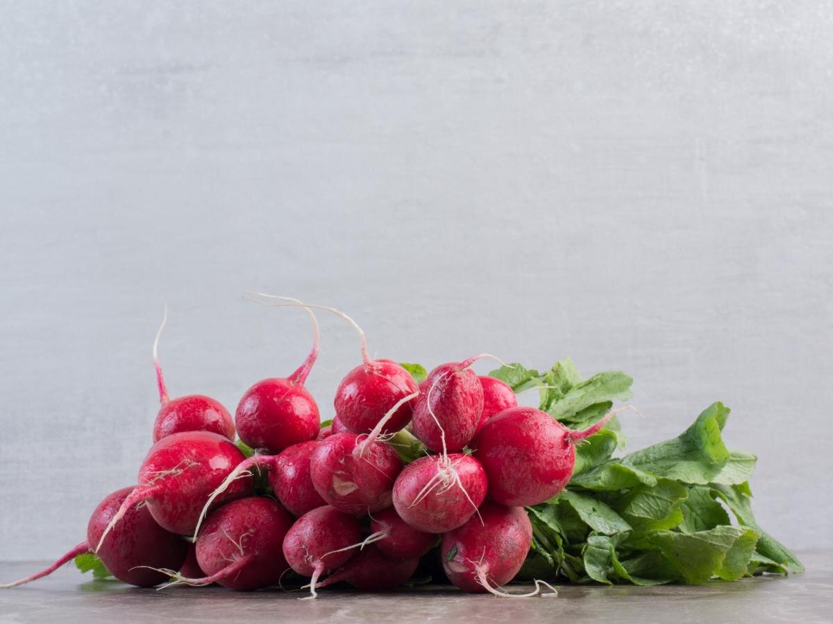 Как вырастить сладкий редис без горечи: секреты успешной подкормки