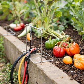 ��� �������� ������� � ������ �� ����: ������ � �������