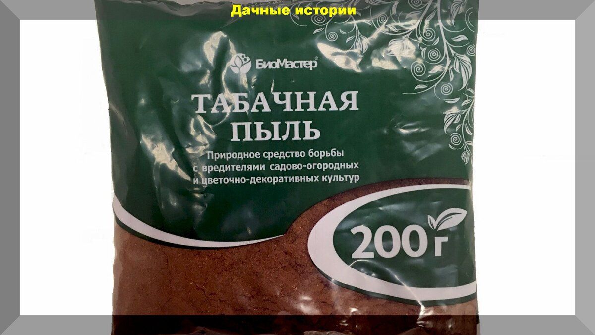 Табачная пыль в саду: уникальное средство против вредителей