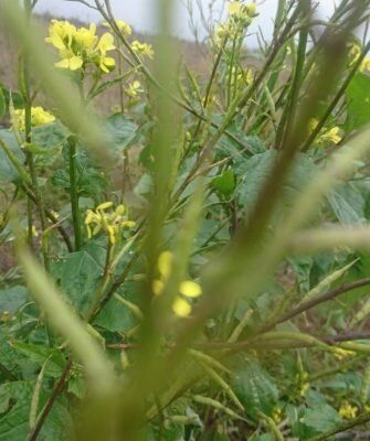 ���������� �������: ��� ����� ������� � ������ �� �������