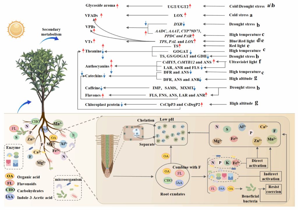 ��� ������ � ����� ������ �� ���� ���
