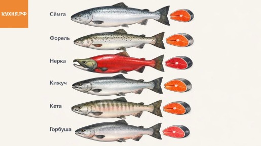 Красная рыба на праздничном столе: какую выбрать для новогоднего угощения?