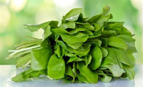 ������ � ���������: �� ��������� �� �������������