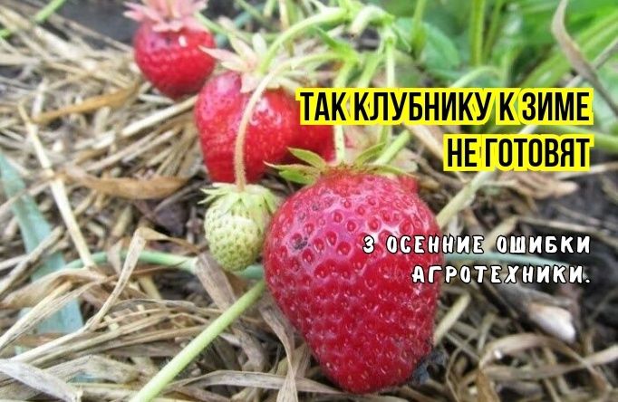 ��� ������������� ���������� �������� ������ � ���������� ������� ������ �� ��������� ���