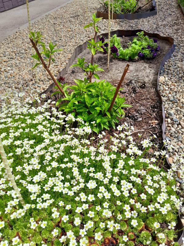 �������� ���������: ��� ������ �������� �� ��������� � ������� �� ������� �������