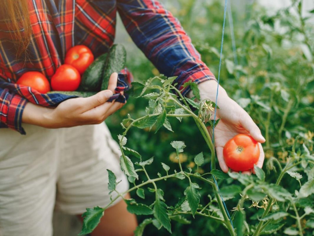 ������� � ������ �� ������: ��� ������ �������� �� �������� � �������