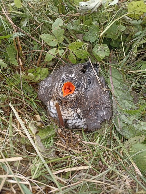 ������� ����� �������: ����������� ������� �� ������ �������