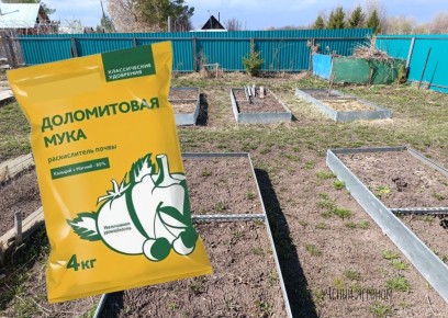 Совместимость доломитовой муки с удобрениями: важные нюансы