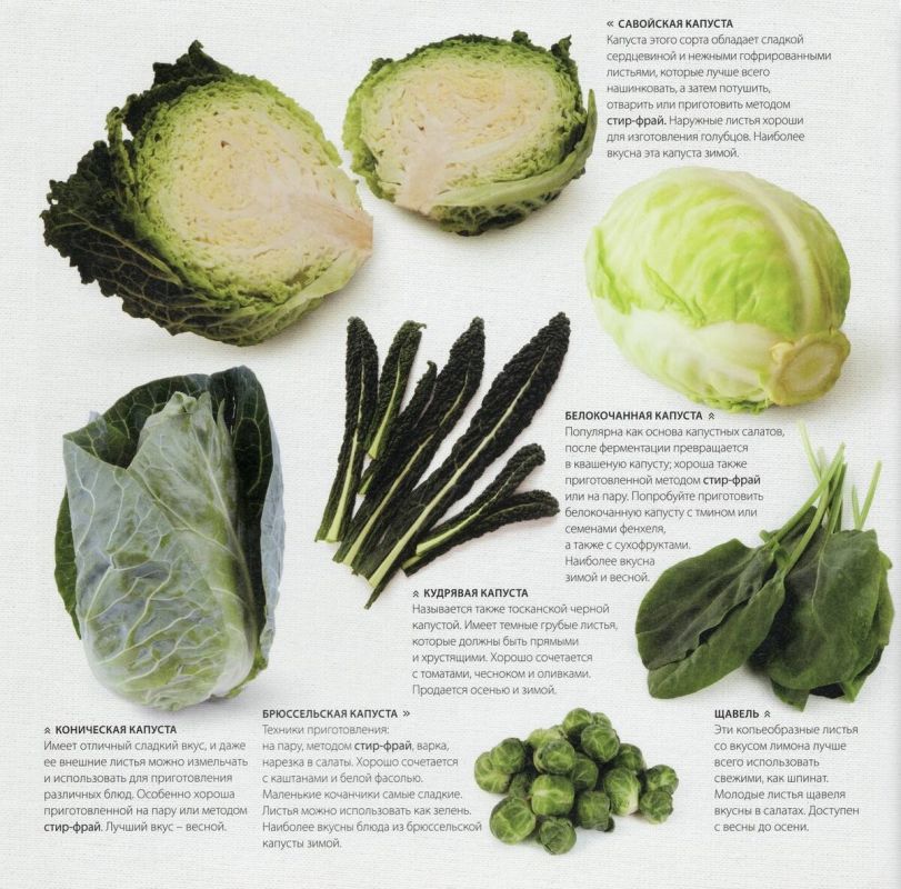 �������� �������� ������� � ������: ���, ��� ����� �����