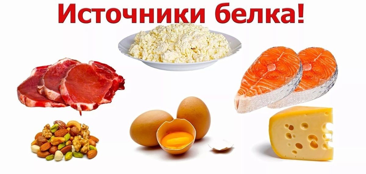 Почему белок так важен для здоровья женщин?