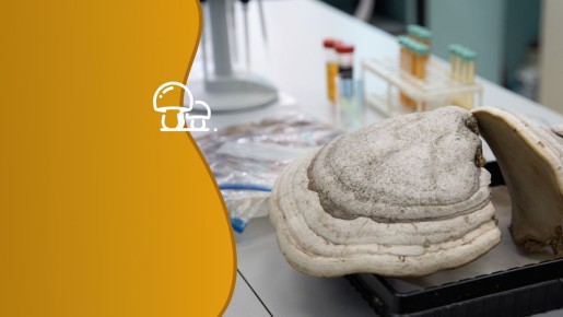 ������ ��������� ����� ����������� ������������� ������ � ��������