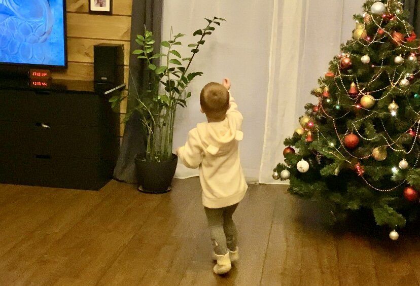 ������ ��� � �������������: ��������� ���� ��� �������