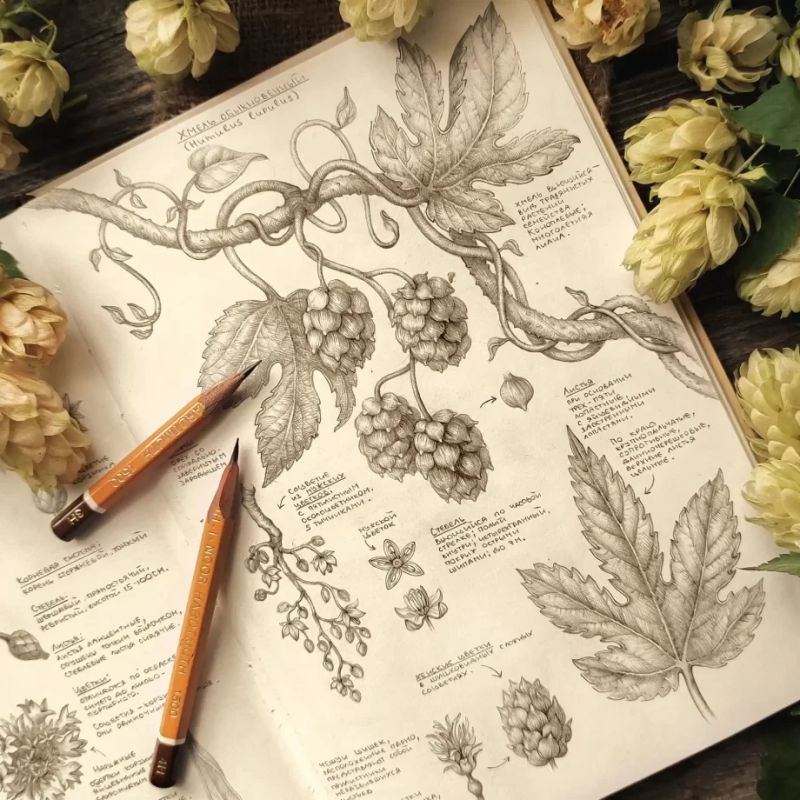 ����� ������������: ����� ������ ������� � ��������