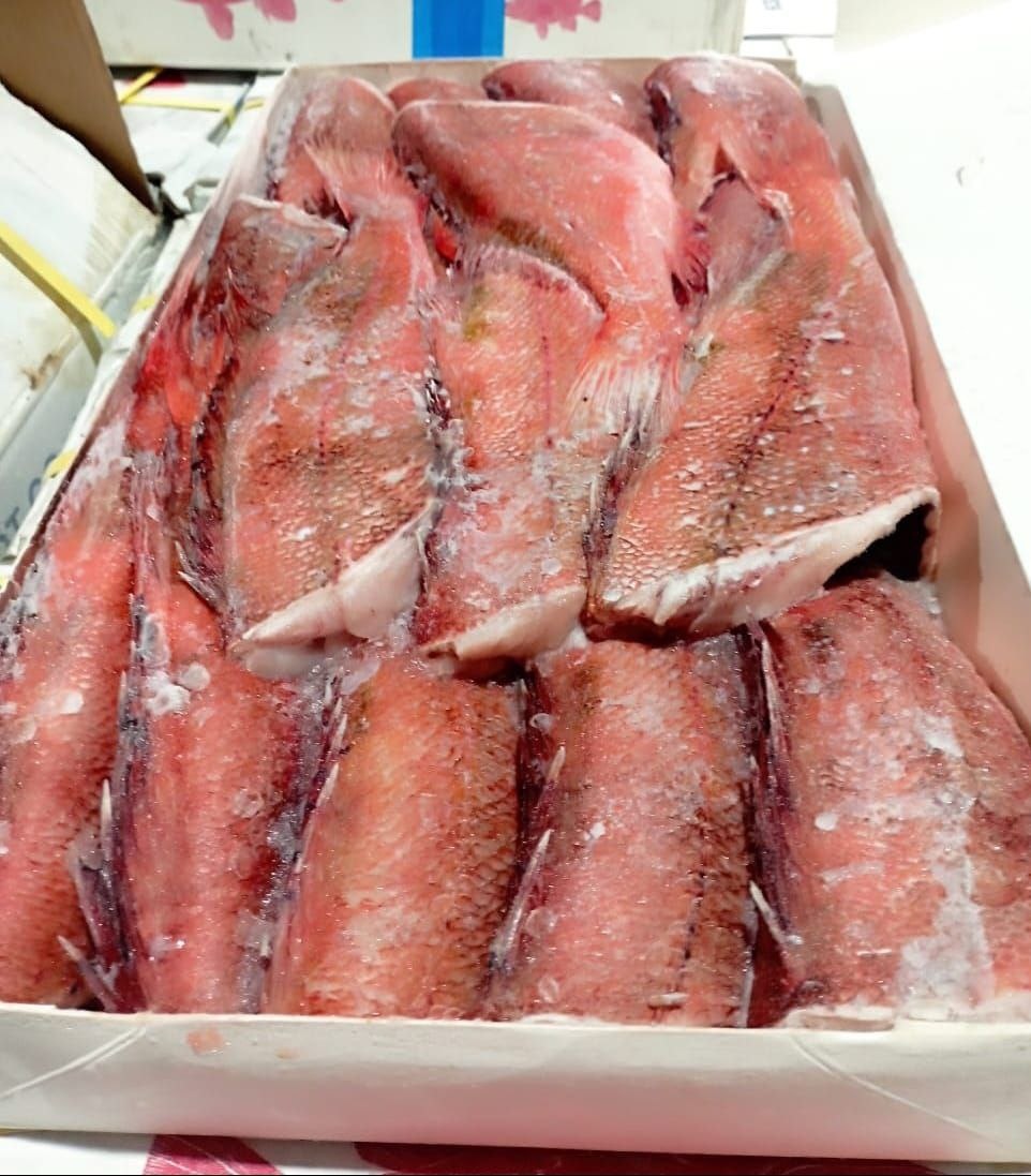 Откройте для себя свежий морской окунь премиум класса