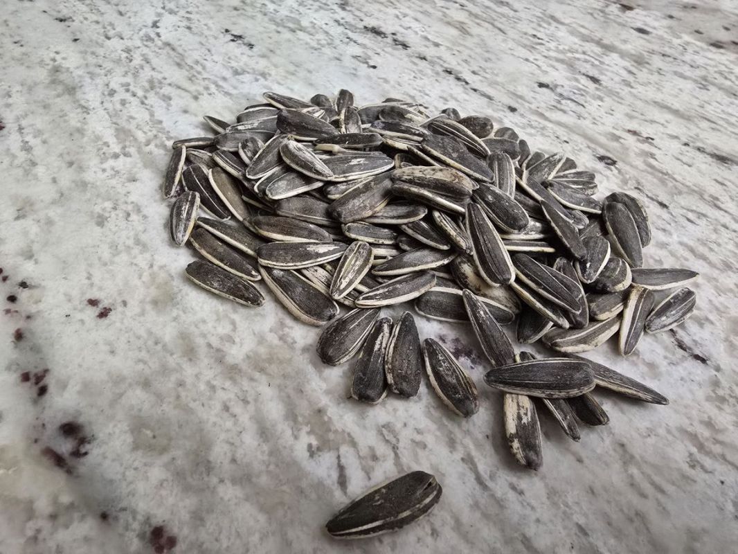 ������ �������: ����� ������� ��� ������ �����?