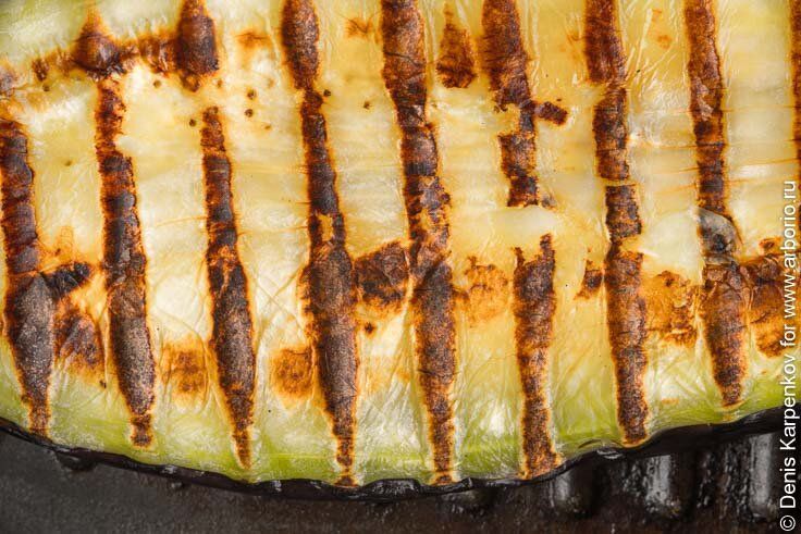 �����: ��������� ������� �����, �������� ���� ���������