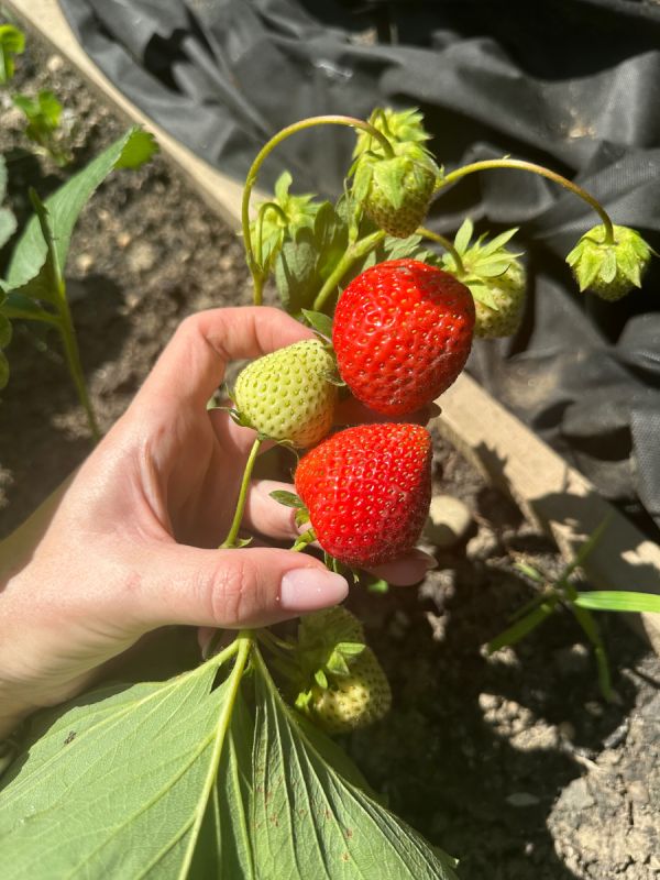 ���� � ���������: ������ ��� ������ ������� ��� ������ �����