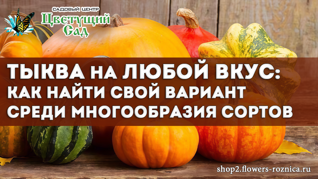 Тыква для каждого: как выбрать идеальный сорт