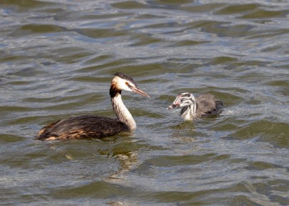 �� ��������� �����: ��� ����� ��������� � ����� �������