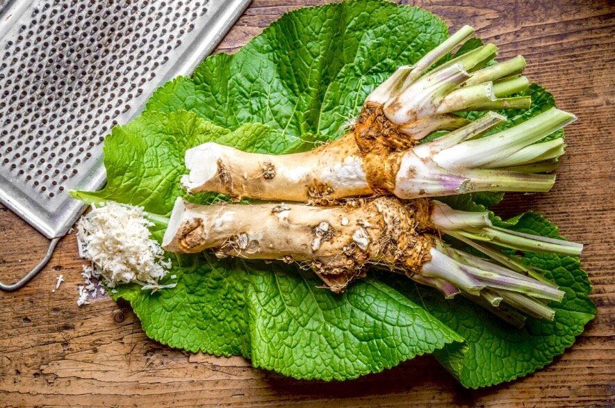 ����������� �������� � ������ �����: �������� ������ � �������