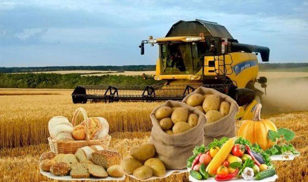 ��������� ����������� ������������ ��������� ���� � ������ ���������