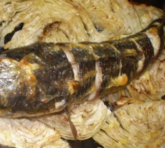 ���������� ���� � ��������: ����� ������ �� ������������ �����