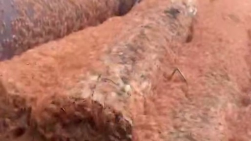 �������� ������� ������: �������� ��������� �� ������ ���� �������� ������������� �������