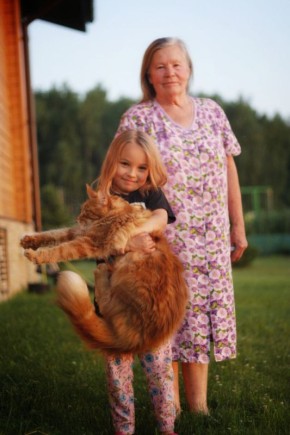 ����������� ������������� ���������� '����� ���������': �������� ������� �� ������ ������