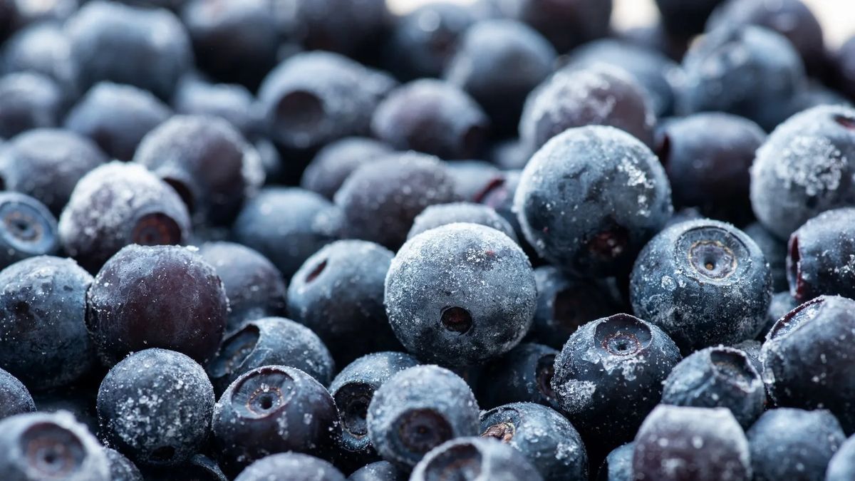 ������� �������: ������ ������������ ������ ����� ���� ����� ��������