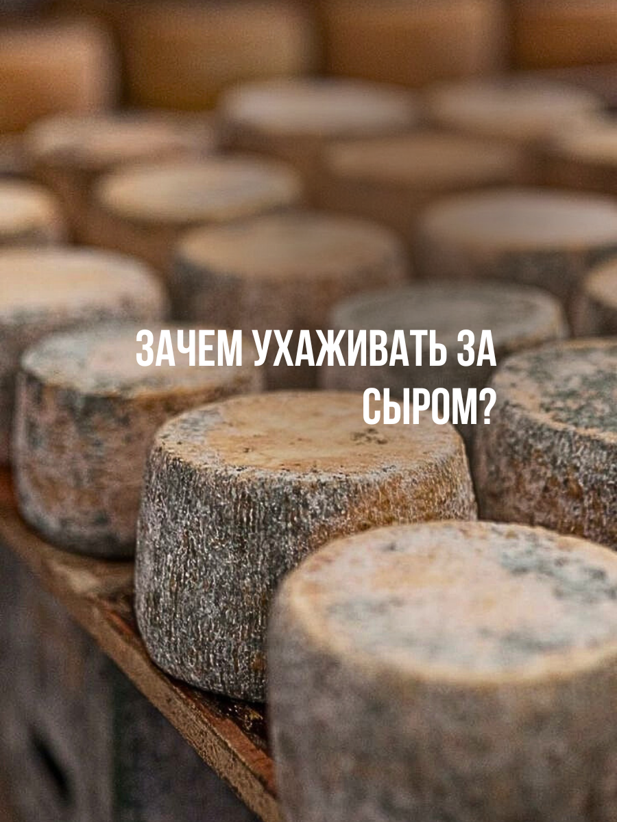 Как ухаживать за сыром, чтобы он вызревал идеально?