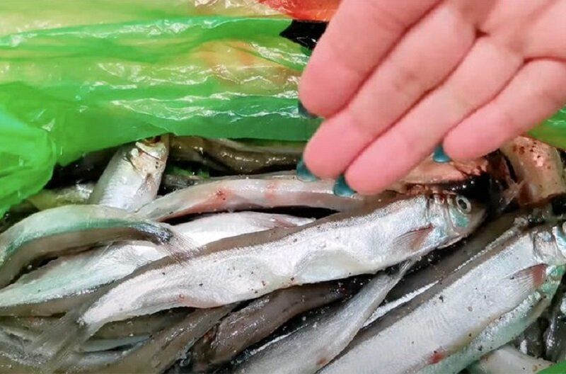 ���������� �������: ������ ���� � �������� ����