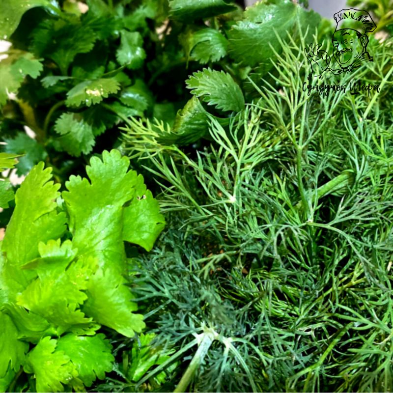 ��������� ���������: ��� ���������� ������ �� ����