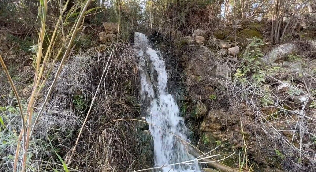 ����� ������� �������� � ������� ����