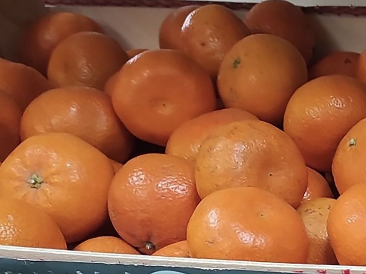 ��� ������� ���������: ������� �������� � ��������