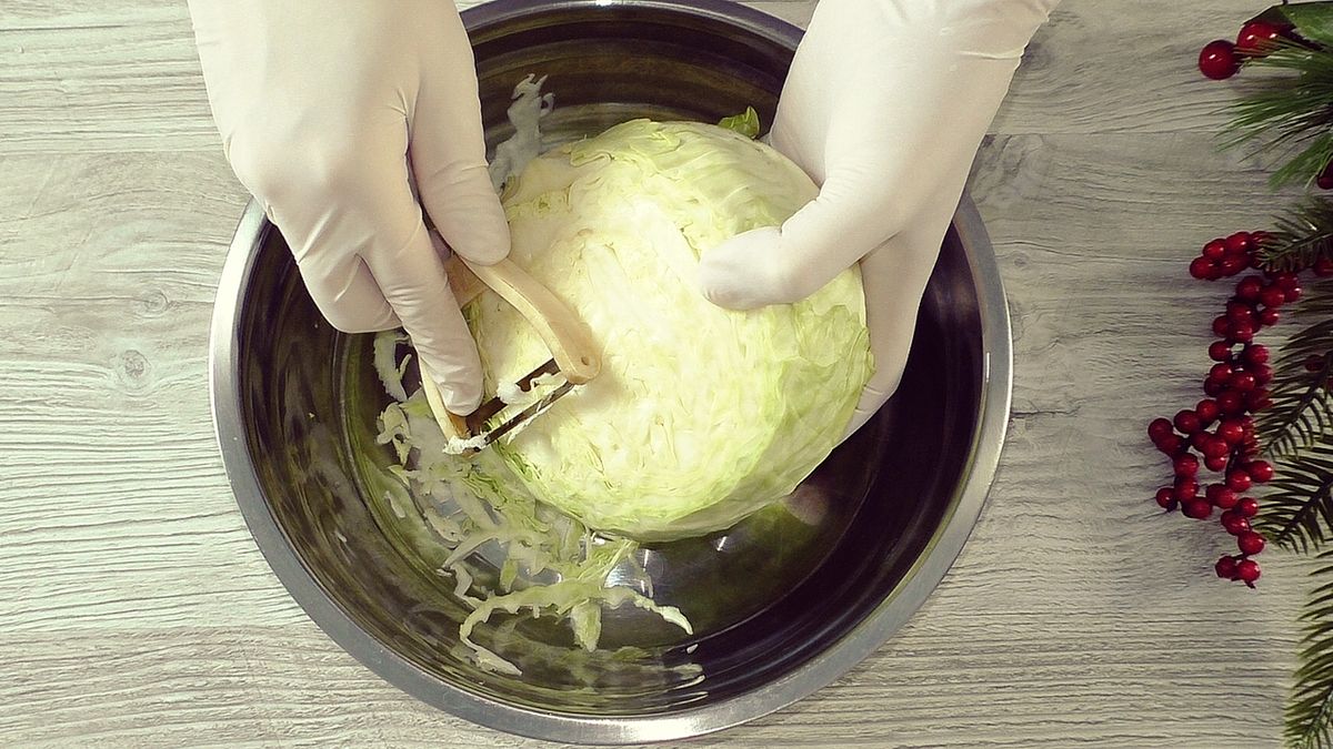 ������������ �������� �����: ������, ������ � � �������������� ���������