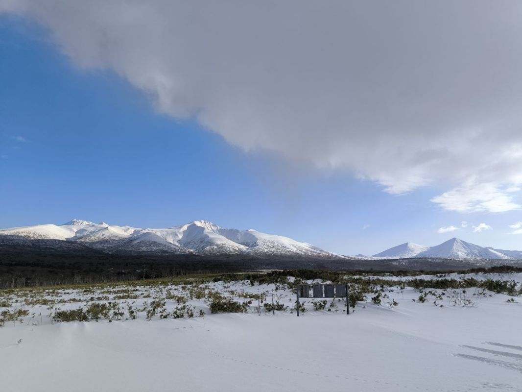 ������: ������� ��������� ������� �������� �������