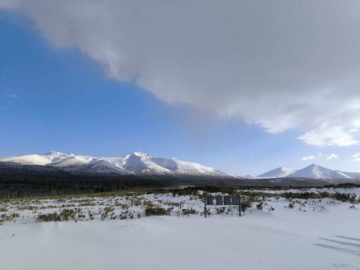 Кунджа: любимый деликатес рыбаков Дальнего Востока