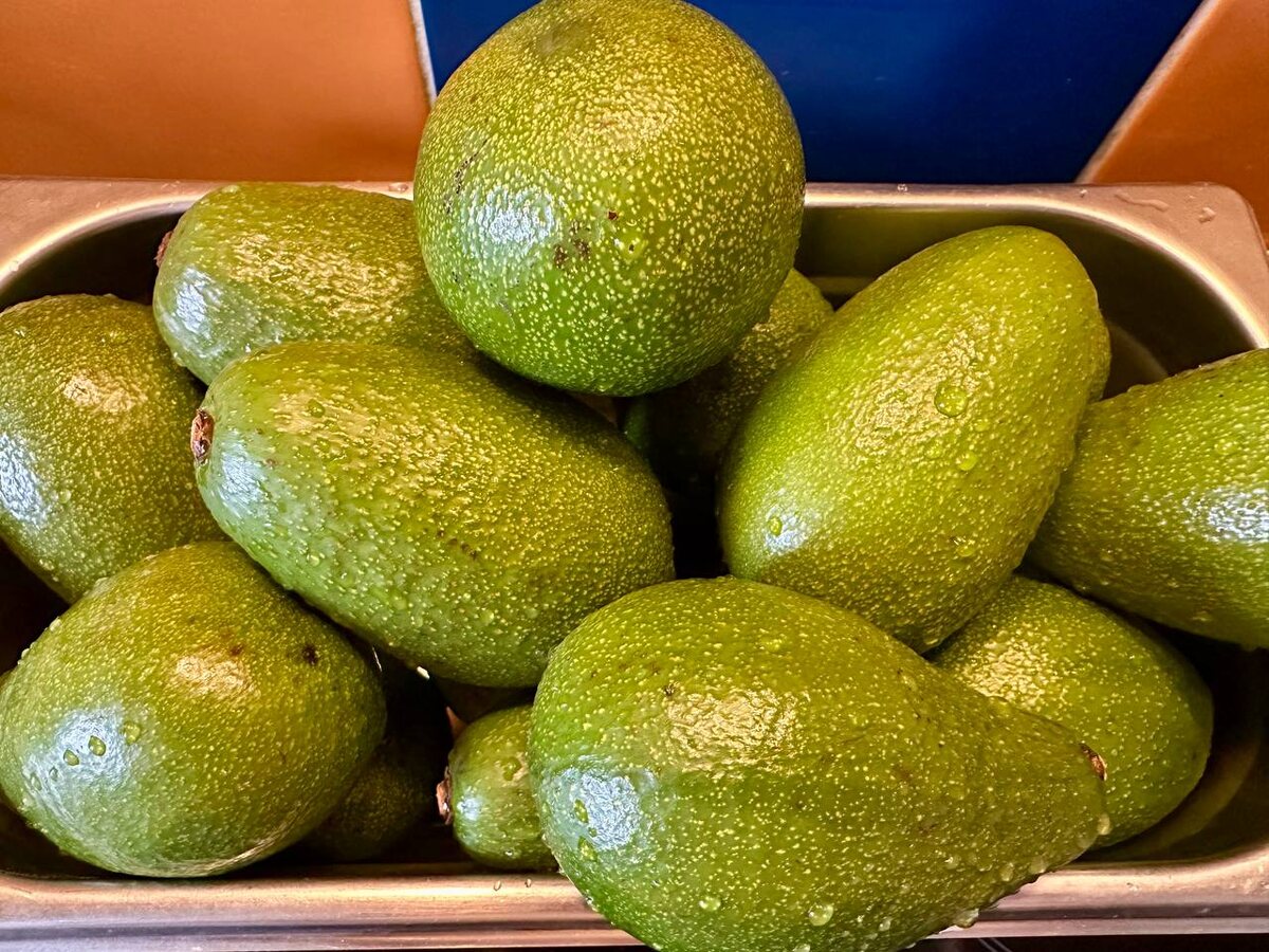 Почему масло авокадо стало трендом здорового питания