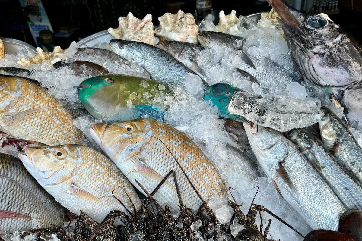 ������� ��������: ��� �������� ��������� ������������