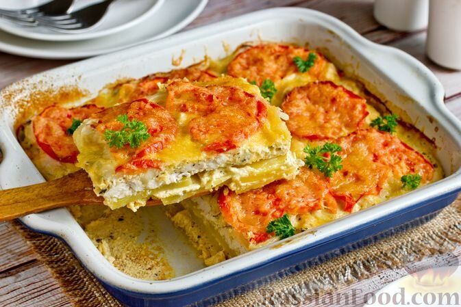 ���� ������ ����: ������� ���� ��� ����� �����