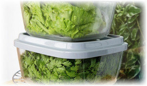 Где спрятать зелень: секреты хранения для свежести и аромата