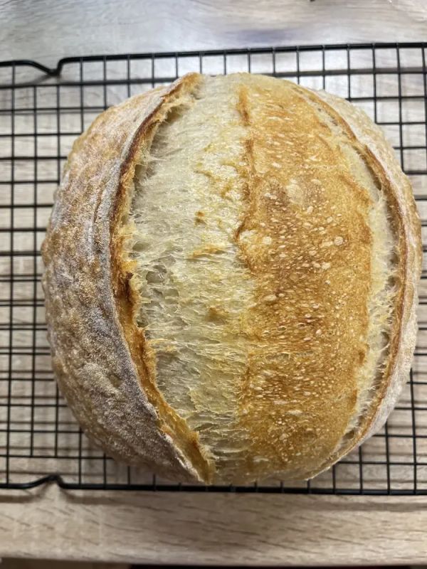 ��� ������ �������� ����� ���� � ��������: ������� � ������� ������