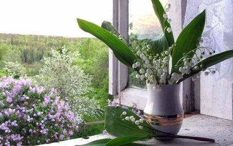 ��������� ����, ����������� �������� � ����������� ���������