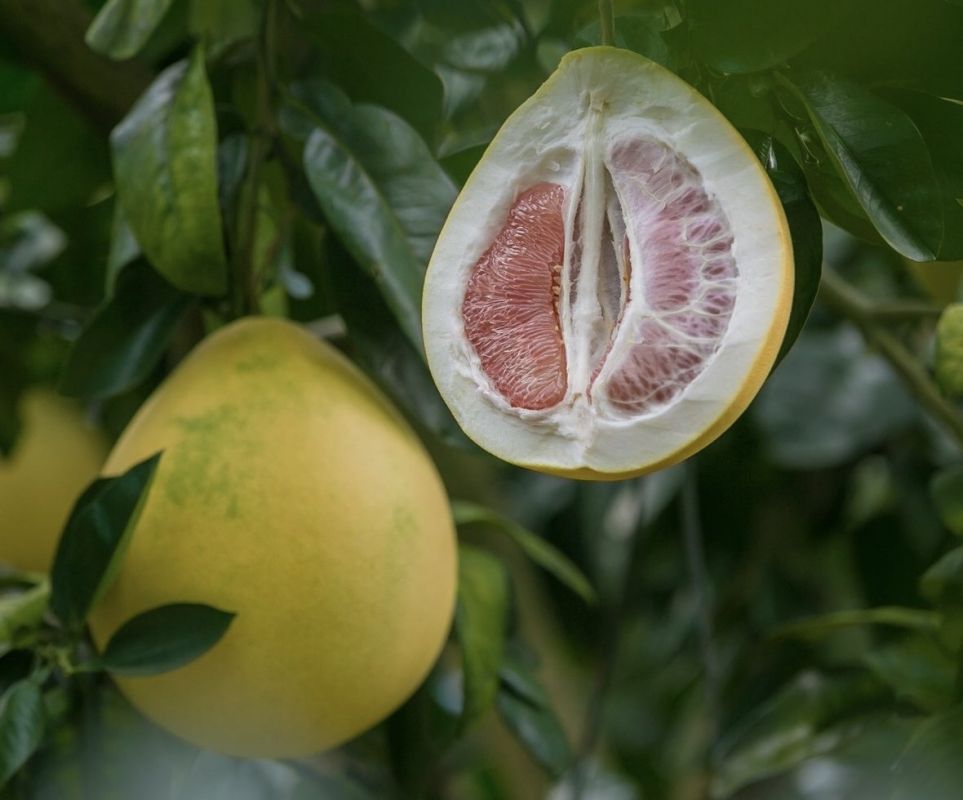 ������: ������������ ����� �������� � �����