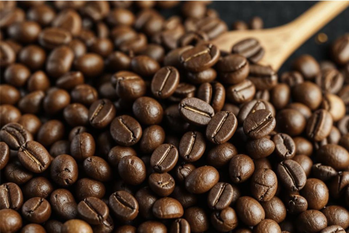 ����: ������ � ����, � ������� ����� �����