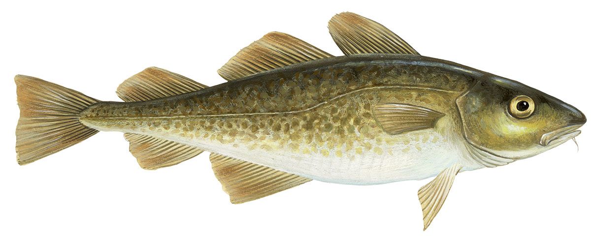 ������: �� ������ ������ �� ������� � � ������� ����������� �����